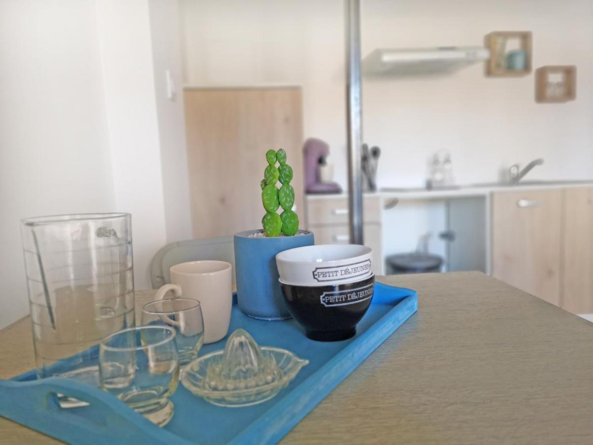 Appartement Avec Jardin - Centre 카스텔나우다리 외부 사진